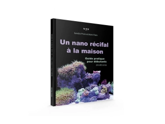 Un nano récifal à la maison