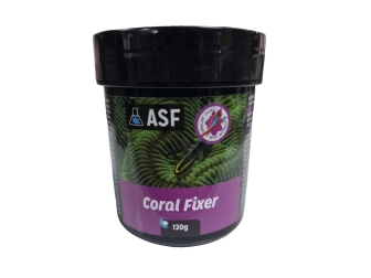 HOLDFAST Coral Fixer colle coraux AS violet