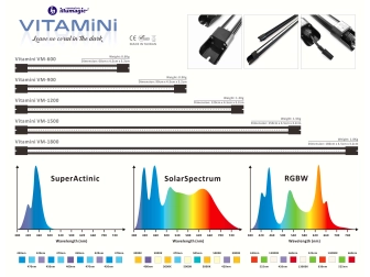 Vitamini VM-900 Illumagic