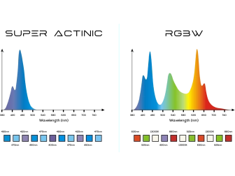 Vitamini VM-900 Illumagic