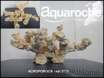 Set 60x35x35 cm Acroporock 