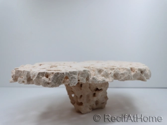 MarcoRocks Frag Cutted Top Pedestal Rock