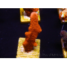 WYSIWYG Montipora Red with Red Tips 1P3