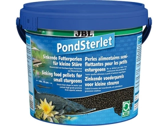 JBL POND STERLET 5 5 L VERSION 2012