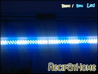 Blanc/Bleu LED 25W/150cm LUMIVIE