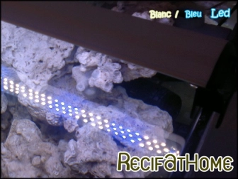 Blanc/Bleu LED 25W/150cm LUMIVIE