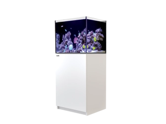 REEFER 170 REDSEA 130 litres équipé