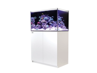 REEFER 250 REDSEA 204 litres 