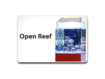 Blau 90 Open reef équipé eau de mer Blanc