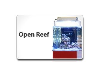 Blau 90 Open reef équipé eau de mer Blanc