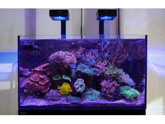 Reef Led 90 Redsea Reefled TM