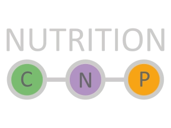 ATI Nutrition P 500 ml