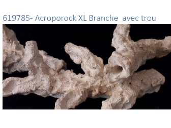 Acroporock XL Branche avec trou 35 38 cm 619785