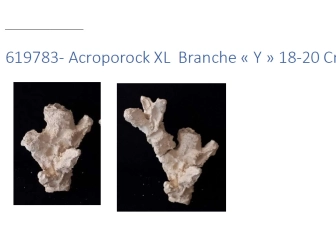 Acroporock XL y 18/20 cm Gauche 619783