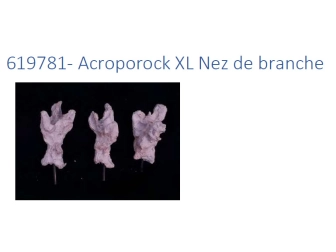 Acroporock XL Nez de branche 619781