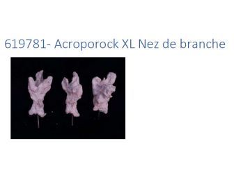 Acroporock XL Nez de branche 619781