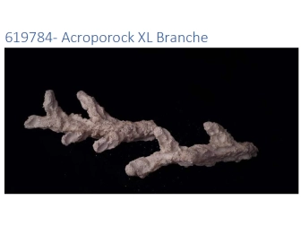 Acroporock XL Kit 13 pièces 619780