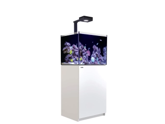 REEFER DELUXE équipé 170 v3 REDSEA 130 litres