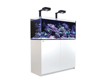 REEFER 350 Deluxe v3 REDSEA équipé 345 litres