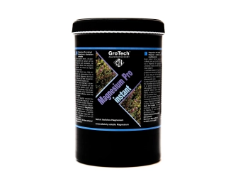 Magnesium pro instant 1000g Dose