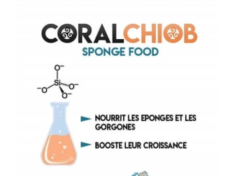 Coral Chiob 50ml ADS