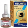 HEXAMITA