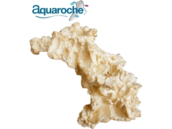 Arche Aquaroche