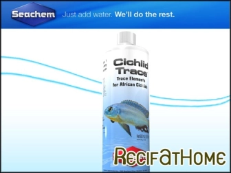 CICHLID TARCE 4 L