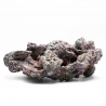 Dutch Reef Rock 4 Base 34 x 21 x 15 cm 3,5 Kg