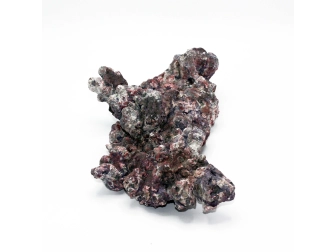 Dutch Reef Rock 8 Base 31 x 19 x 10 cm 1,6 Kg