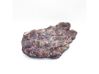 Dutch Reef Rock 37 Plate 41 x 28 x 10 cm  3,3 Kg