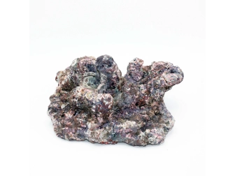 Dutch Reef Rock 38 Plate 26 x 22 x 12 cm 2,1 Kg