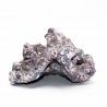 Dutch Reef Rock 38 Plate 26 x 22 x 12 cm 2,1 Kg