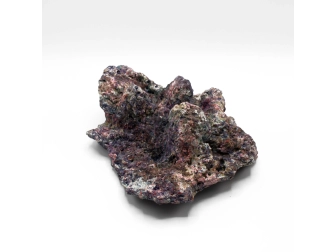 Dutch Reef Rock 38 Plate 26 x 22 x 12 cm 2,1 Kg