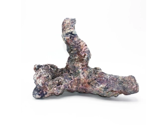 Dutch Reef Rock 48 Bones 20 x 20 x 15 cm 1,4 Kg