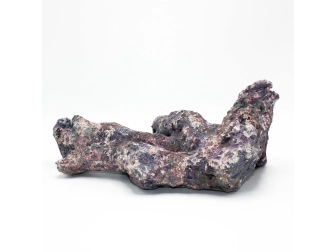 Dutch Reef Rock 50 Bones 32 x 23 x 14 cm 1,8 Kg