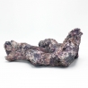 Dutch Reef Rock 50 Bones 32 x 23 x 14 cm 1,8 Kg