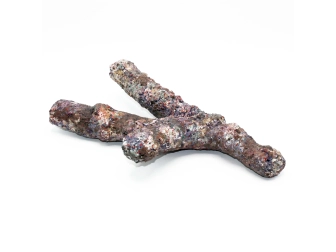 Dutch Reef Rock 51 Bones 32 x 16 x 7 cm 1 Kg