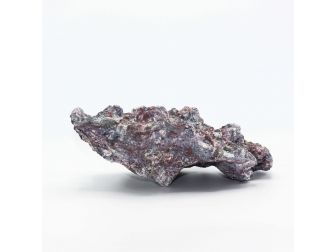 Dutch Reef Rock 54 Plate 31 x 21 x 11 cm 2,2 Kg