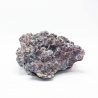 Dutch Reef Rock 54 Plate 31 x 21 x 11 cm 2,2 Kg