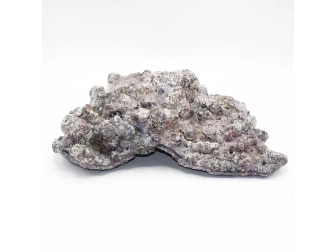 Dutch Reef Rock 56 Plate 41 x 31 x 11 cm 4,1 Kg