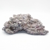 Dutch Reef Rock 56 Plate 41 x 31 x 11 cm 4,1 Kg