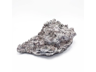 Dutch Reef Rock 56 Plate 41 x 31 x 11 cm 4,1 Kg