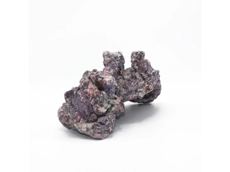 Dutch Reef Rock 57 Plate 33 x 17 x 16 cm 2,8 Kg