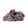 Dutch Reef Rock 57 Plate 33 x 17 x 16 cm 2,8 Kg