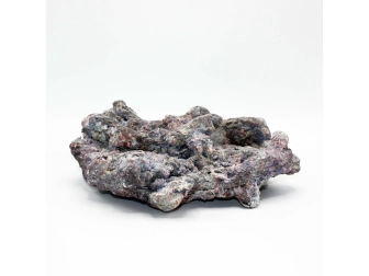 Dutch Reef Rock 15 Plate 27 x 21 x 9 cm 1,6 Kg