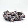 Dutch Reef Rock 15 Plate 27 x 21 x 9 cm 1,6 Kg