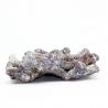 Dutch Reef Rock 15 Plate 27 x 21 x 9 cm 1,6 Kg