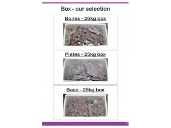 Dutch Reef Rock Bones   Mix Box 20 Kg