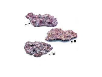 Dutch Reef Rock Pack Plates Plate  6,5 Kg